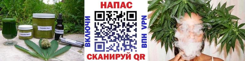 Cannafood конопля  Киров 