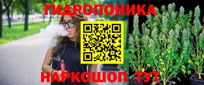 Альфа ПВП Гусев