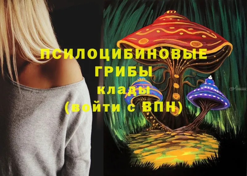 купить наркоту  Киров  Псилоцибиновые грибы MAGIC MUSHROOMS 