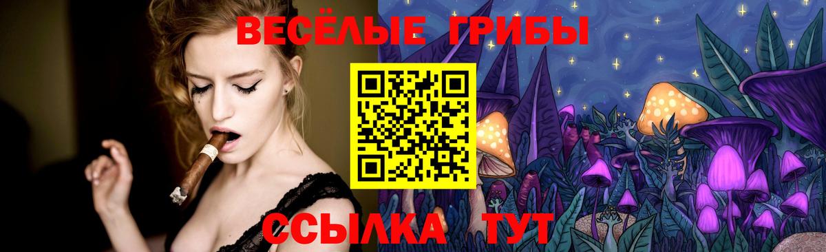 Киров  Псилоцибиновые грибы Psilocybe  Вход с VPN 